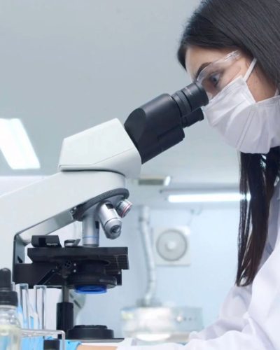 WhatsApp Image 2026-01-12 at 3.06.44 PM